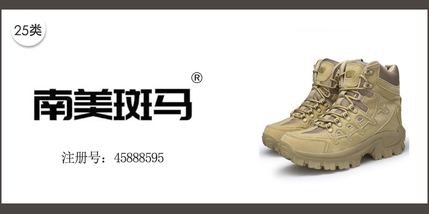 南美斑馬
