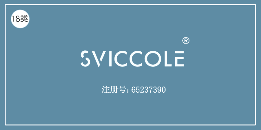 18類皮革皮具