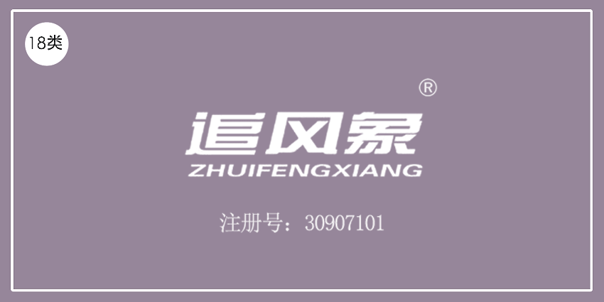18類皮革皮具